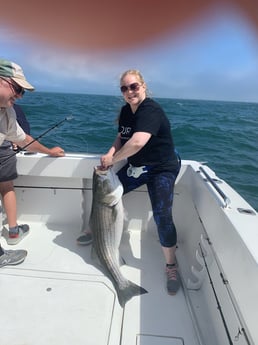 Striped Bass fishing in Montauk, New York