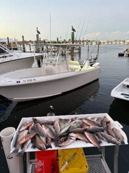 Fishing in Key West, Florida