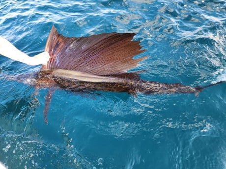 Fishing in Pompano Beach, Florida