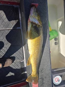 Fishing in Oconomowoc, Wisconsin