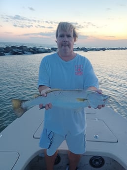 Speckled Trout / Spotted Seatrout fishing in Tiki Island, Texas