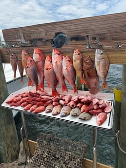 Fishing in Destin, Florida