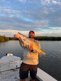 Fishing in New Smyrna Beach, Florida