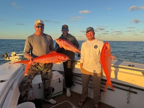 Fishing in Tierra Verde, Florida