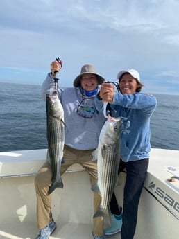 Striped Bass fishing in Nantucket, Massachusetts