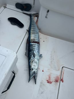 Fishing in Carolina Beach, North Carolina