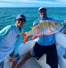 Mutton Snapper Fishing in Tavernier, Florida