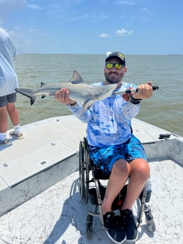 Blacktip Shark Fishing in Matagorda, Texas