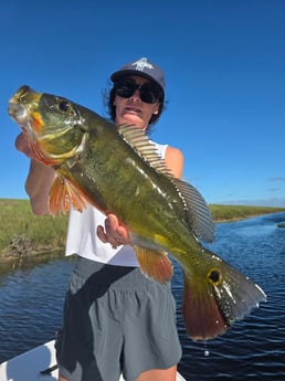 Fishing in Davie, Florida