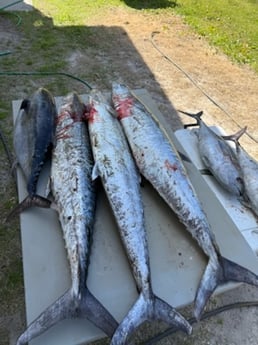 Fishing in Gulf Shores, Alabama