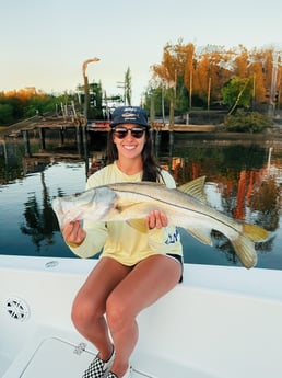 Fishing in Tampa, Florida