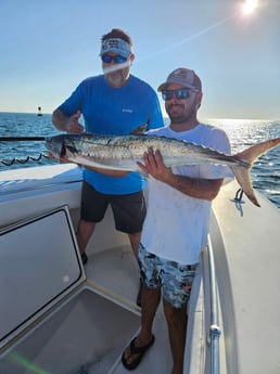 Kingfish Fishing in