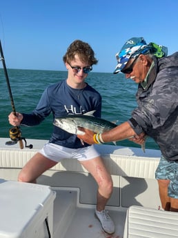 Barracuda fishing in Naples, Florida