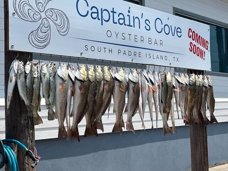 Fishing in Harlingen, Texas