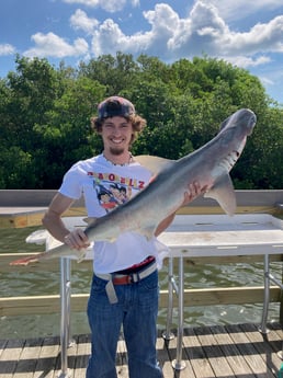 Hammerhead Shark fishing in New Smyrna Beach, Florida