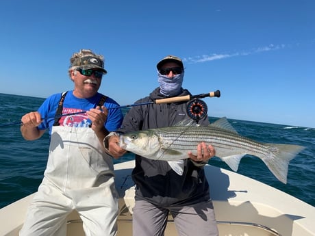 Striped Bass fishing in Nantucket, Massachusetts