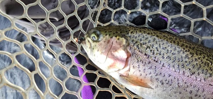 Fishing in Broken Bow, Oklahoma