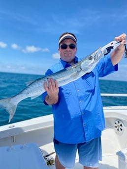 Barracuda fishing in Placida, Florida