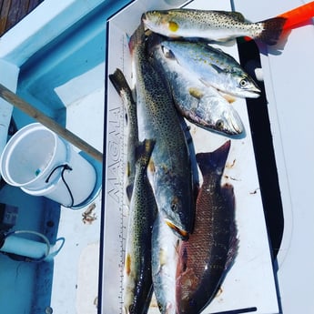 Fishing in Holmes Beach, Florida