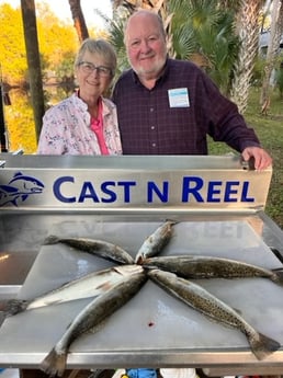 Speckled Trout / Spotted Seatrout Fishing in Crystal River, Florida
