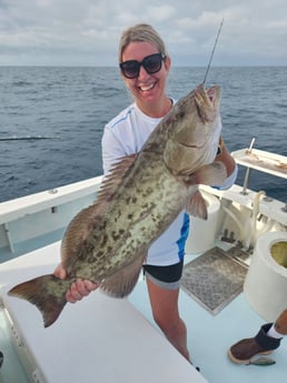 Gag Grouper Fishing in Indian Rocks Beach, Florida