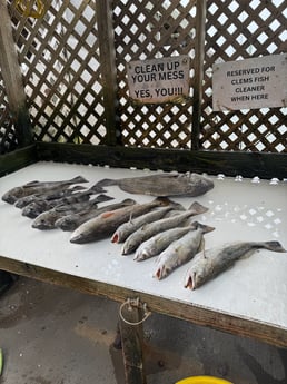 Fishing in Corpus Christi, Texas