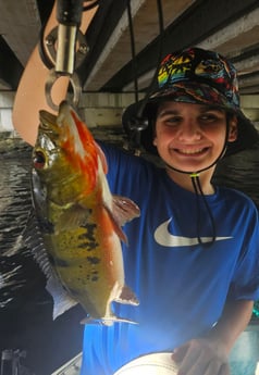 Fishing in Delray Beach, Florida