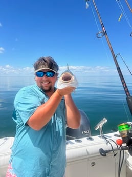 Fishing in Dennis, Massachusetts