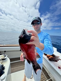 Fishing in Los Angeles, California