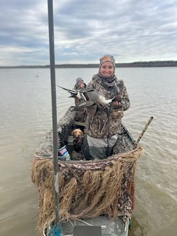 Northern Pintail Fishing in Port Aransas, Texas