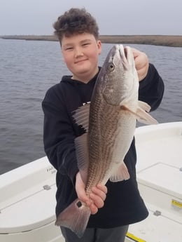 Redfish fishing in Sulphur, Louisiana