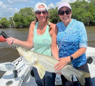 Fishing in Chokoloskee, Florida