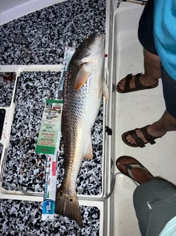 Fishing in Panama City, Florida