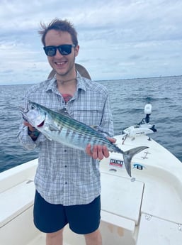 Bonito Fishing in Beaufort, North Carolina