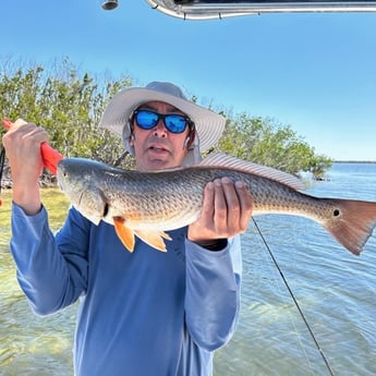 Redfish Fishing in Cape Coral, Florida