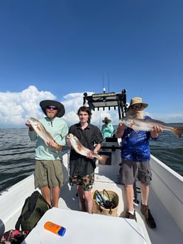 Fishing in Sarasota, Florida
