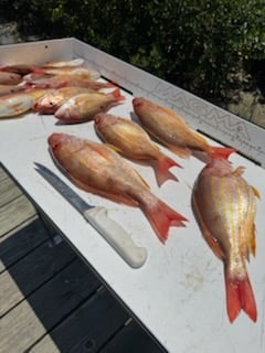 Fishing in Port Orange, Florida