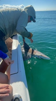 Fishing in Largo, Florida