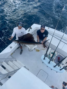 Sailfish Fishing in Pompano Beach, Florida