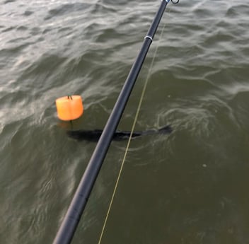 Redfish Fishing in Bolivar Peninsula, Texas