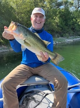Largemouth Bass fishing in Graford, Texas