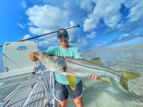 Snook fishing in Cudjoe Key, Florida