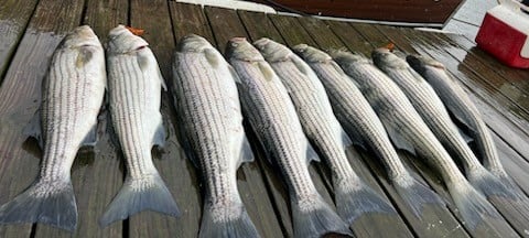 Fishing in Keyport, New Jersey