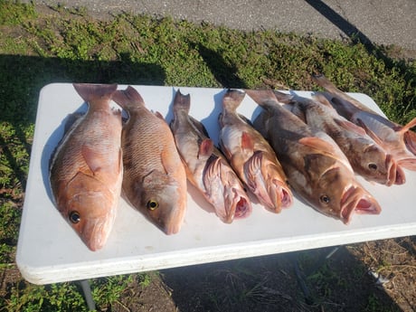 Fishing in St. Petersburg, Florida