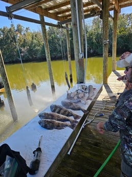 Fishing in Saint Bernard, Louisiana