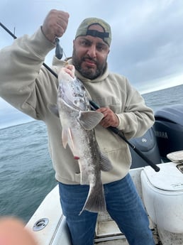 Fishing in Westport, Massachusetts