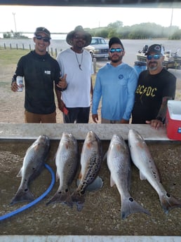 Redfish Fishing in San Antonio, Texas