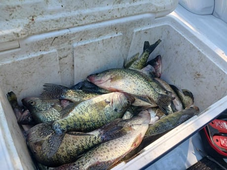 Fishing in Broken Bow, Oklahoma