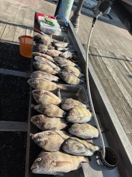 Fishing in Lake Charles, Louisiana