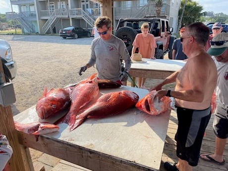 Red Snapper Fishing in Gulf Shores, Alabama